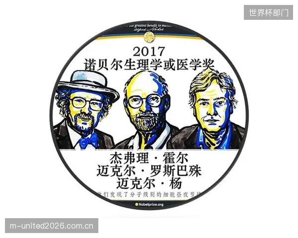 运动科学家将使用光照疗法帮助球员调整生物钟,适应不同开球时间对身体状态的影响。 运动科学家将使用光照疗法帮助球员调整生物钟,适应不同开球时间对身体状态的影响。